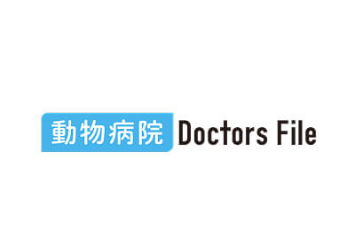 Doctor's File