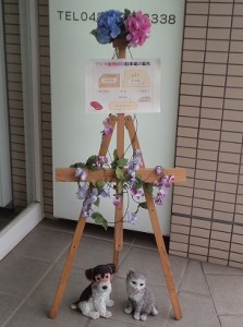 紫陽花(入り口)
