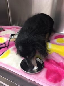 securedownload4-%e7%b8%ae%e5%b0%8f