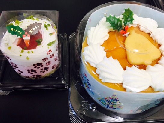 securedownload2-%e7%b8%ae%e5%b0%8f