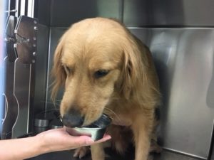 securedownload1-%e7%b8%ae%e5%b0%8f